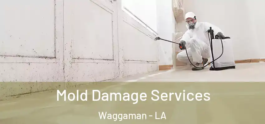  Mold Damage Services Waggaman - LA