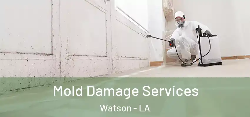 Mold Damage Services Watson - LA