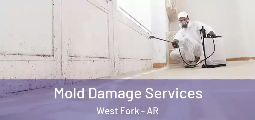 Mold Damage Services West Fork - AR