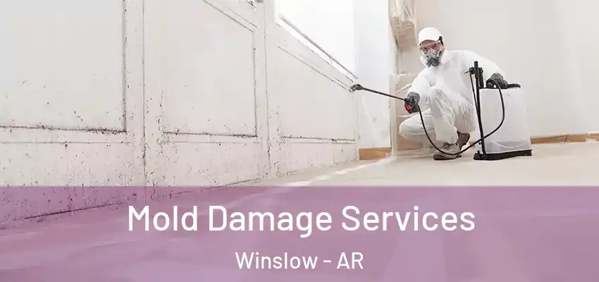 Mold Damage Services Winslow - AR