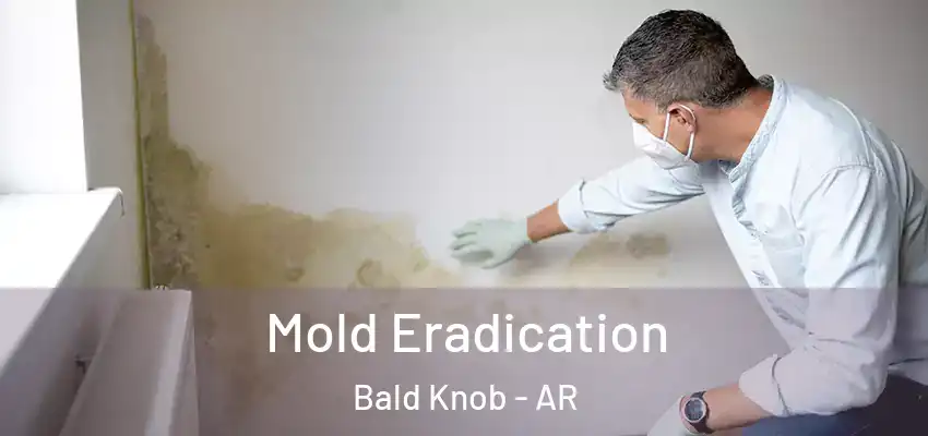  Mold Eradication Bald Knob - AR