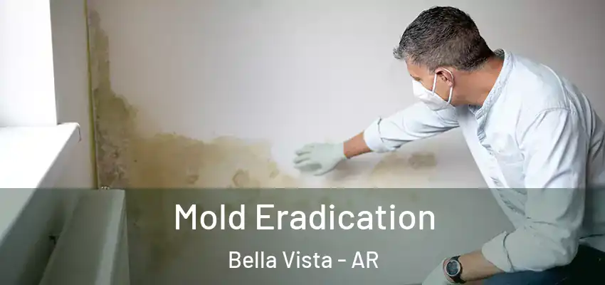 Mold Eradication Bella Vista - AR