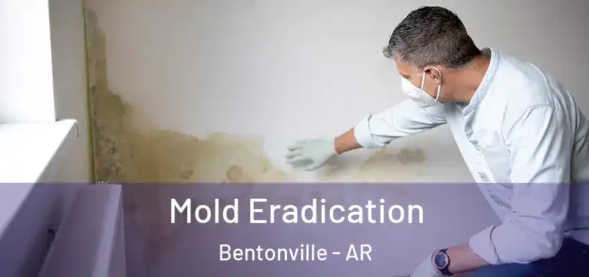  Mold Eradication Bentonville - AR