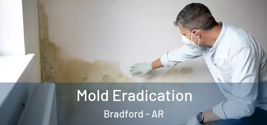  Mold Eradication Bradford - AR