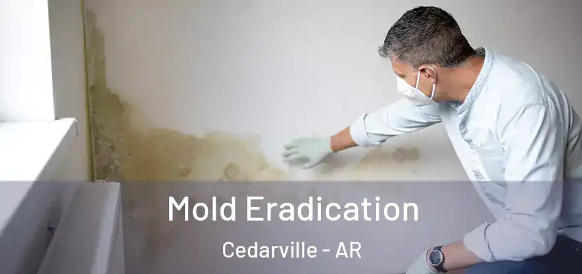 Mold Eradication Cedarville - AR