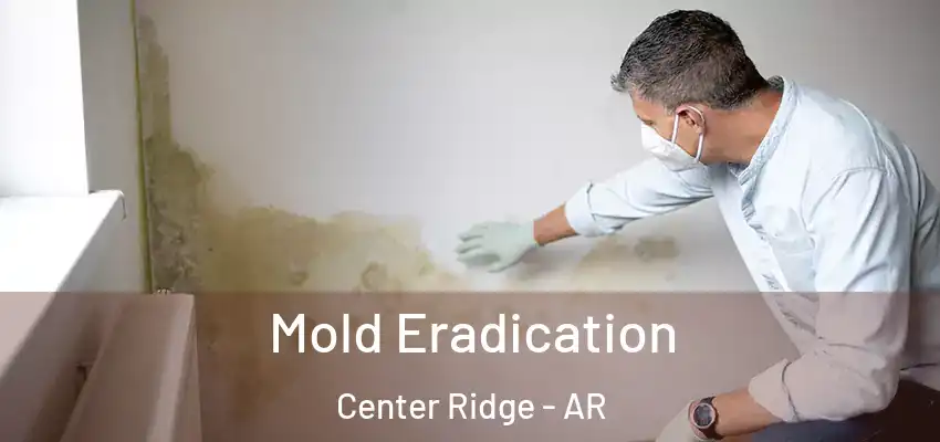 Mold Eradication Center Ridge - AR