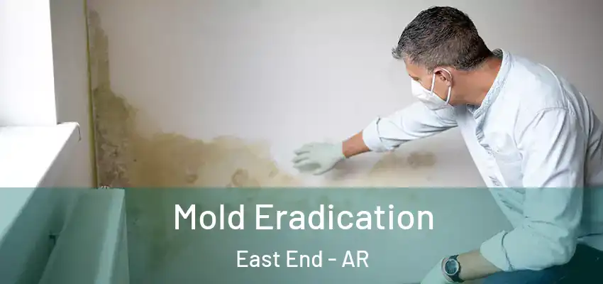  Mold Eradication East End - AR