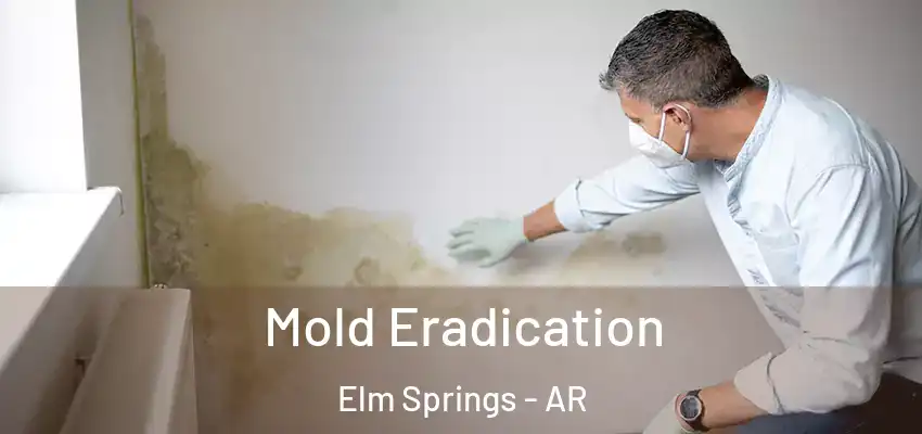  Mold Eradication Elm Springs - AR