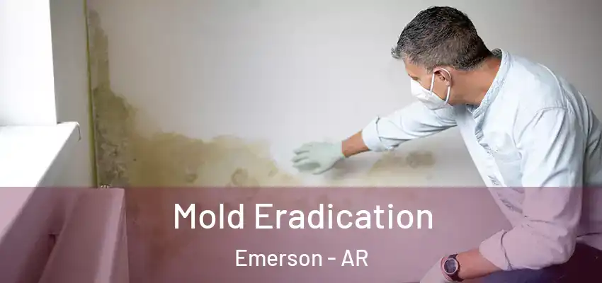 Mold Eradication Emerson - AR