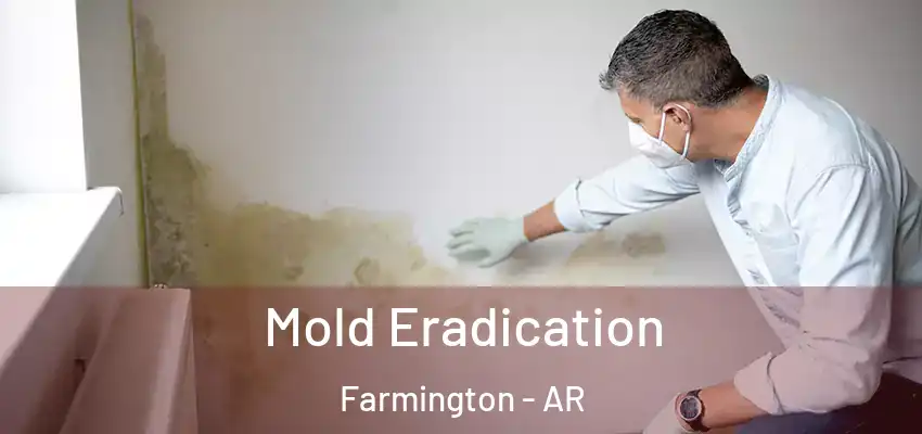 Mold Eradication Farmington - AR