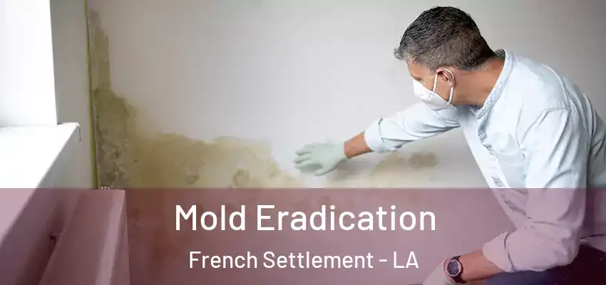  Mold Eradication French Settlement - LA