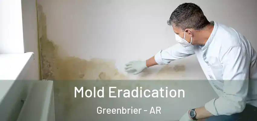  Mold Eradication Greenbrier - AR