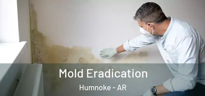  Mold Eradication Humnoke - AR