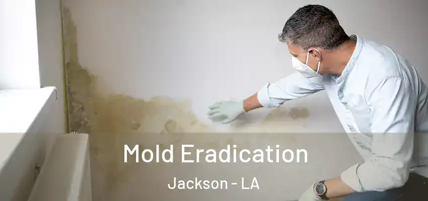 Mold Eradication Jackson - LA
