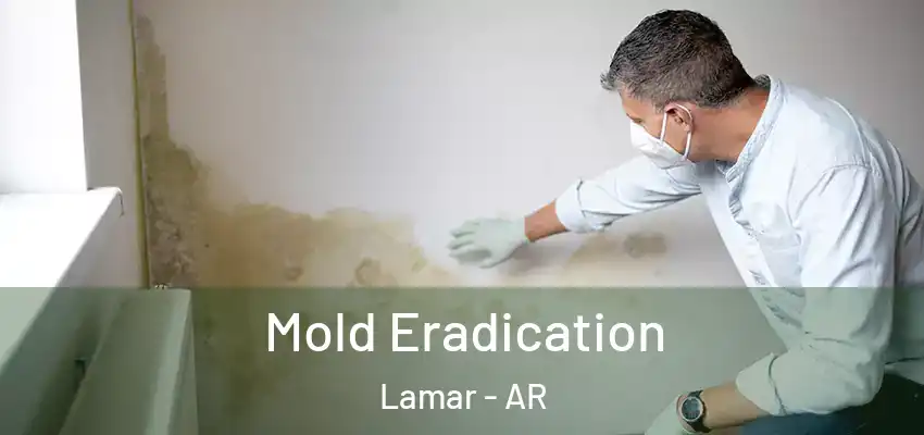 Mold Eradication Lamar - AR
