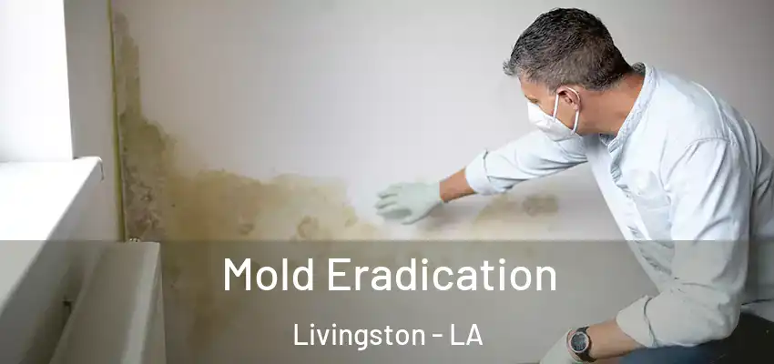  Mold Eradication Livingston - LA
