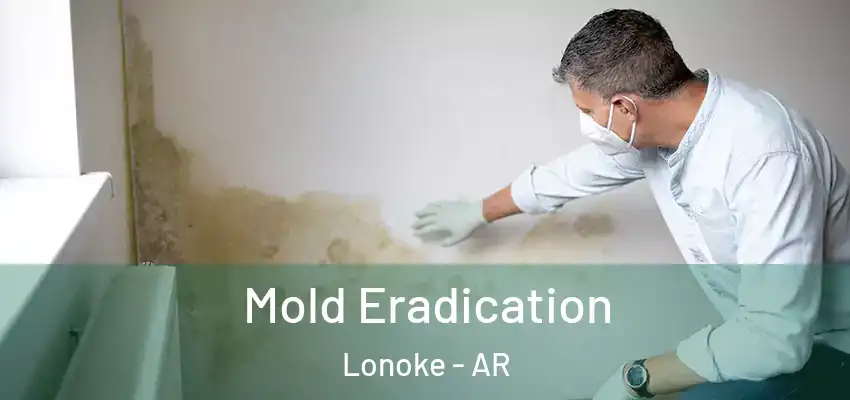 Mold Eradication Lonoke - AR