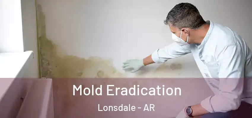  Mold Eradication Lonsdale - AR