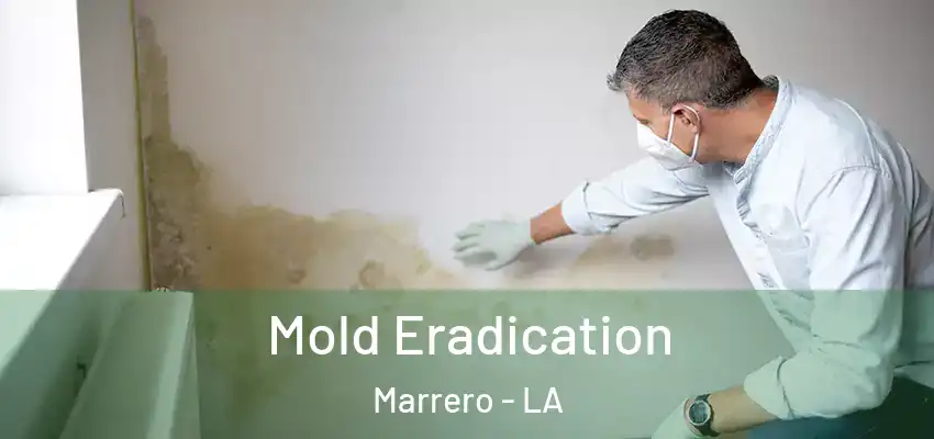  Mold Eradication Marrero - LA