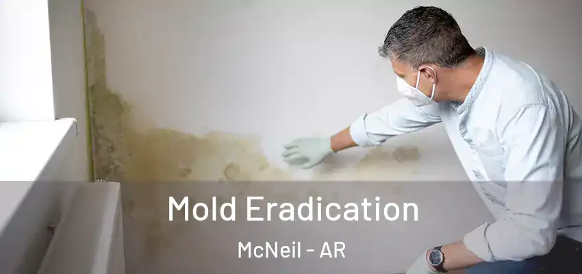  Mold Eradication McNeil - AR