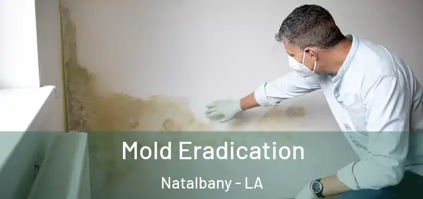  Mold Eradication Natalbany - LA