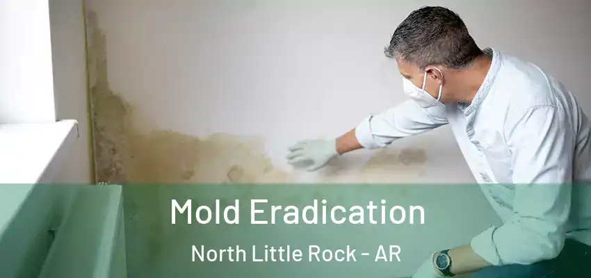  Mold Eradication North Little Rock - AR