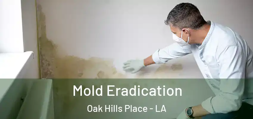  Mold Eradication Oak Hills Place - LA