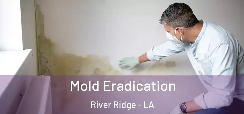  Mold Eradication River Ridge - LA