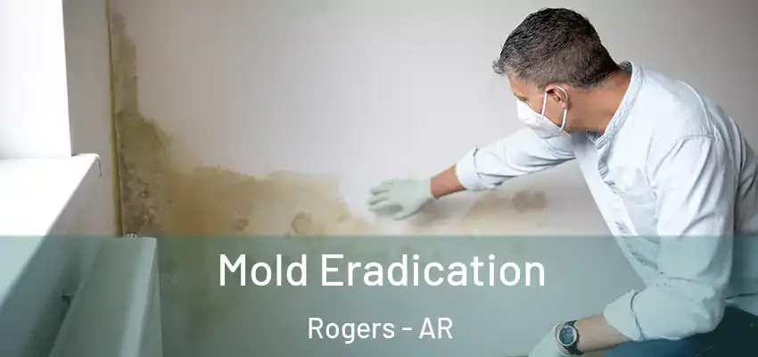Mold Eradication Rogers - AR
