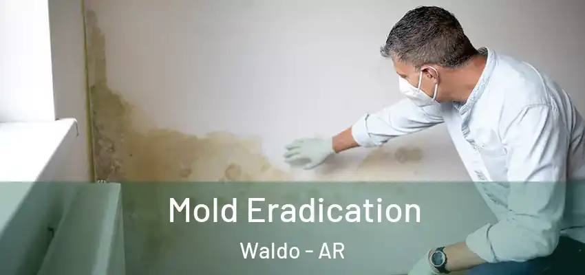 Mold Eradication Waldo - AR