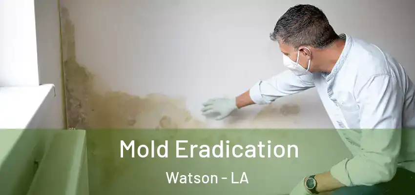 Mold Eradication Watson - LA