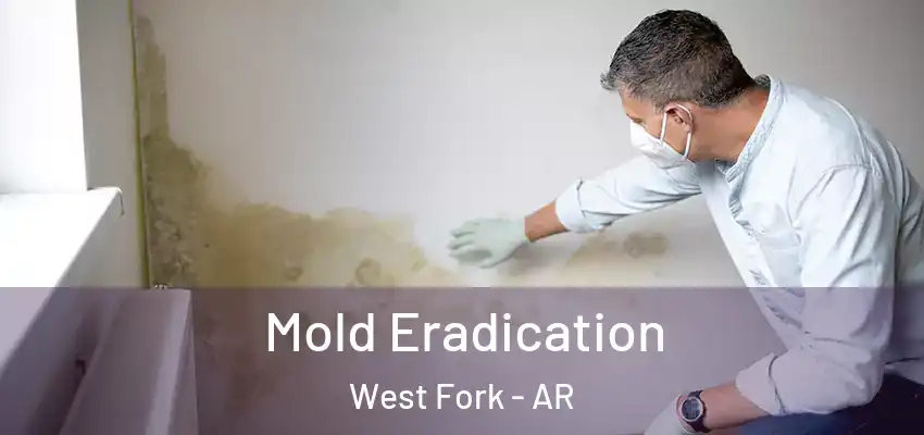 Mold Eradication West Fork - AR