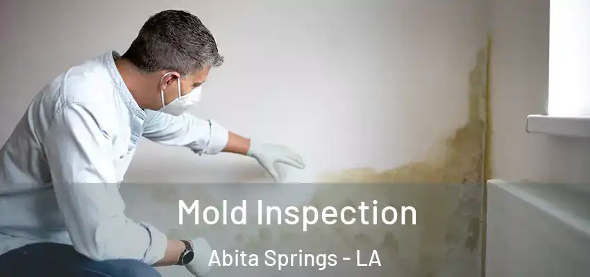  Mold Inspection Abita Springs - LA