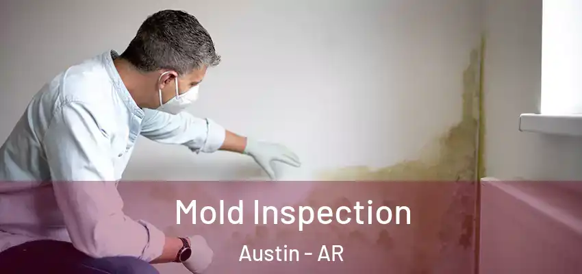  Mold Inspection Austin - AR
