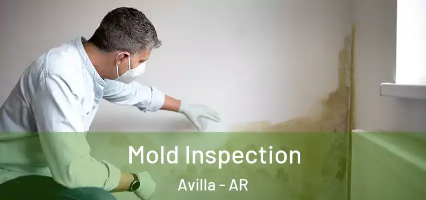 Mold Inspection Avilla - AR