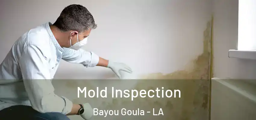  Mold Inspection Bayou Goula - LA