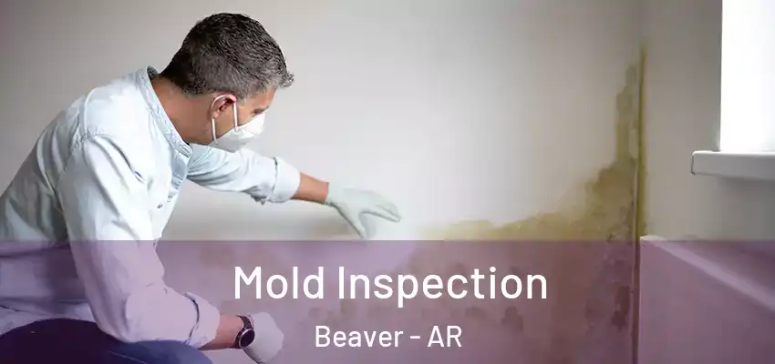  Mold Inspection Beaver - AR