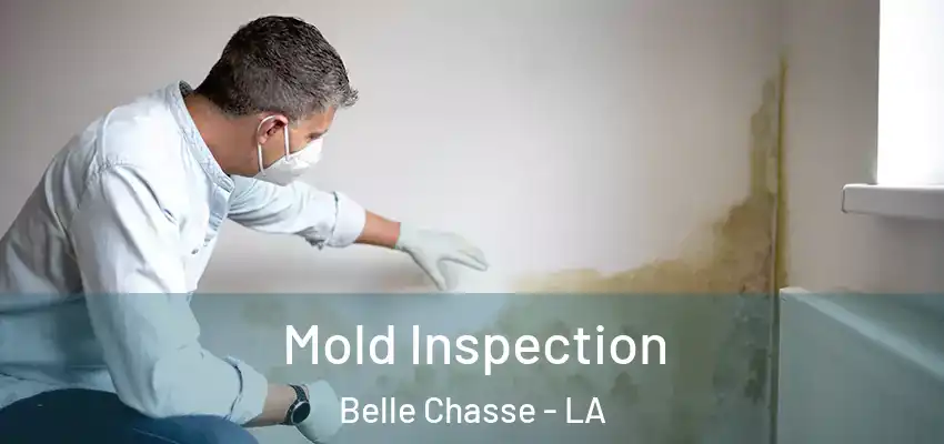  Mold Inspection Belle Chasse - LA