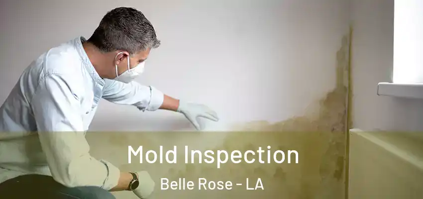 Mold Inspection Belle Rose - LA