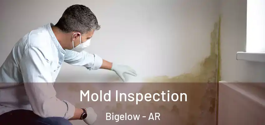  Mold Inspection Bigelow - AR