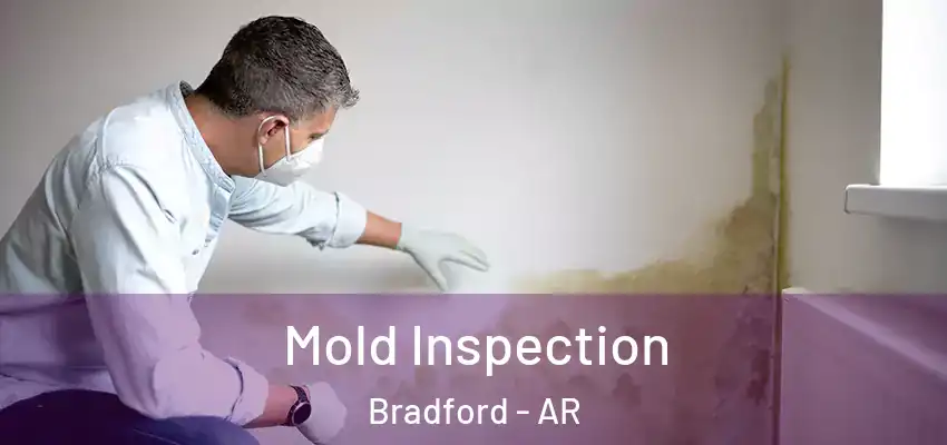  Mold Inspection Bradford - AR