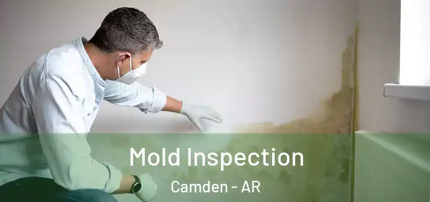  Mold Inspection Camden - AR