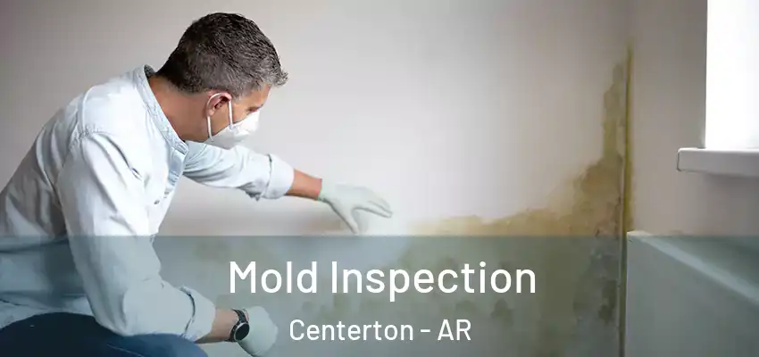 Mold Inspection Centerton - AR
