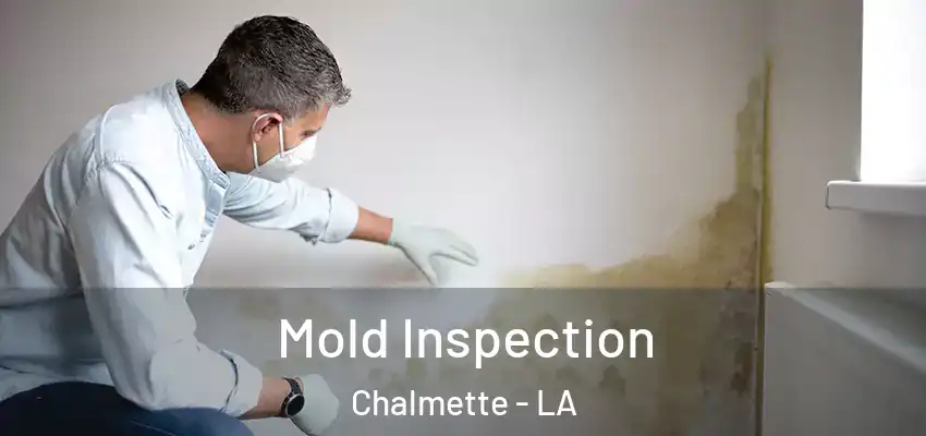  Mold Inspection Chalmette - LA