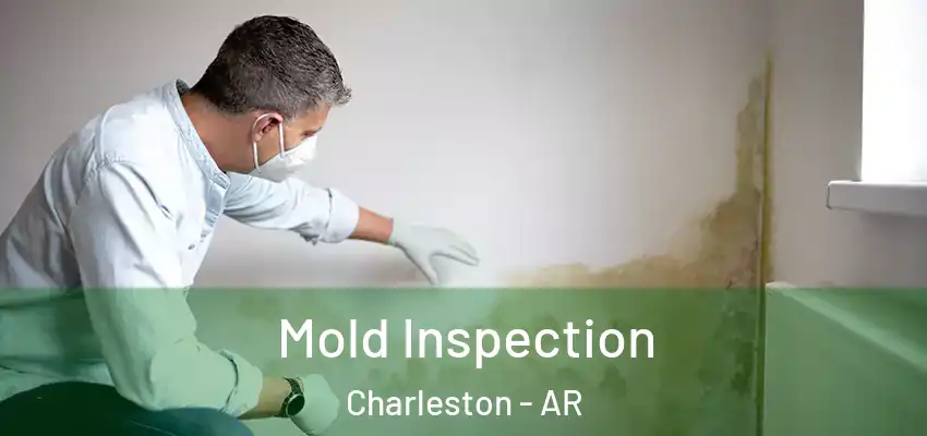  Mold Inspection Charleston - AR