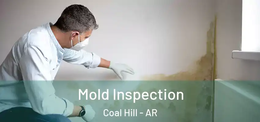  Mold Inspection Coal Hill - AR