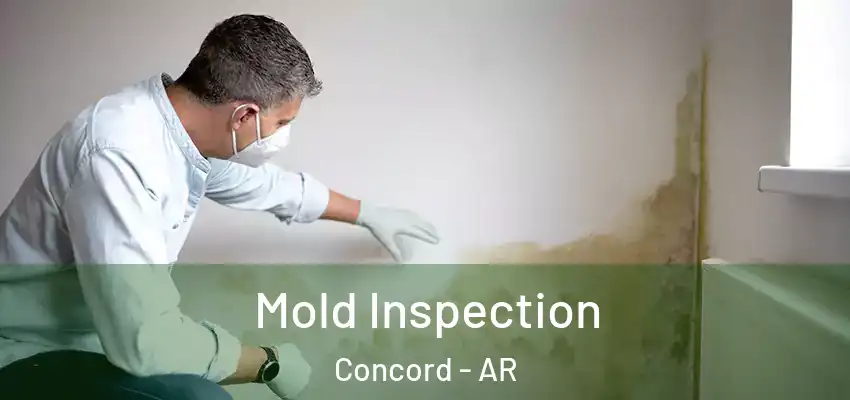  Mold Inspection Concord - AR