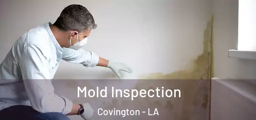  Mold Inspection Covington - LA