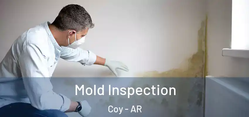  Mold Inspection Coy - AR