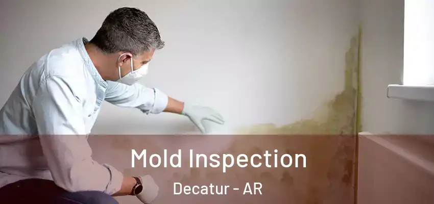  Mold Inspection Decatur - AR